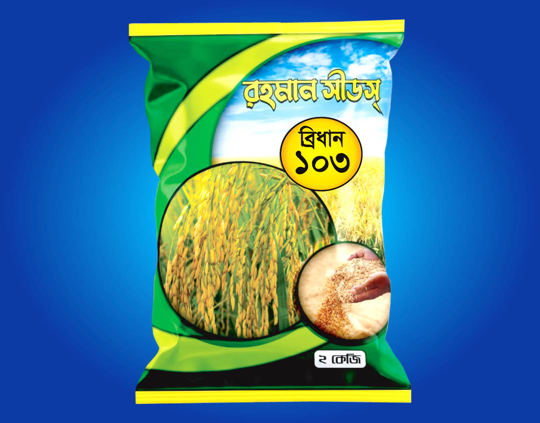 ব্রিধান-১০৩